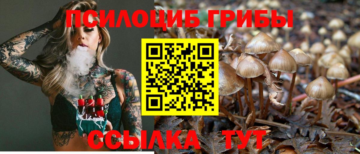 Псилоцибиновые грибы Psilocybine cubensis  Псилоцибиновые грибы MAGIC MUSHROOMS  Вольск  наркотики  Вход с VPN 